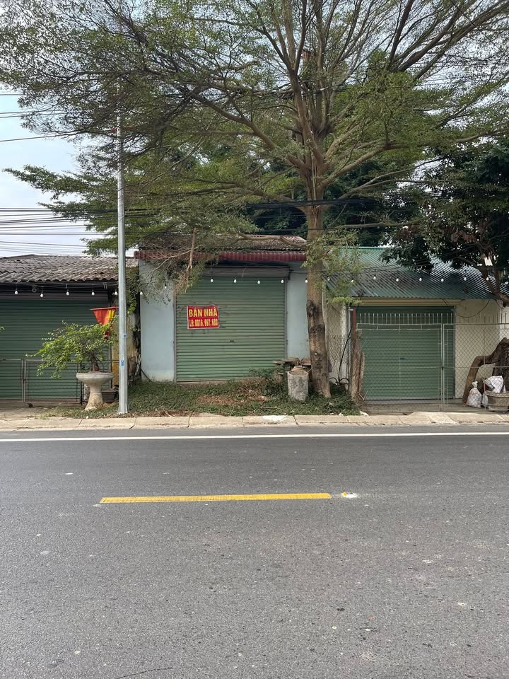 Đất nền mặt Quốc lộ 47 Đông Hoàng 124m² giá 3 tỷ - Đầu tư sinh lời ngay!