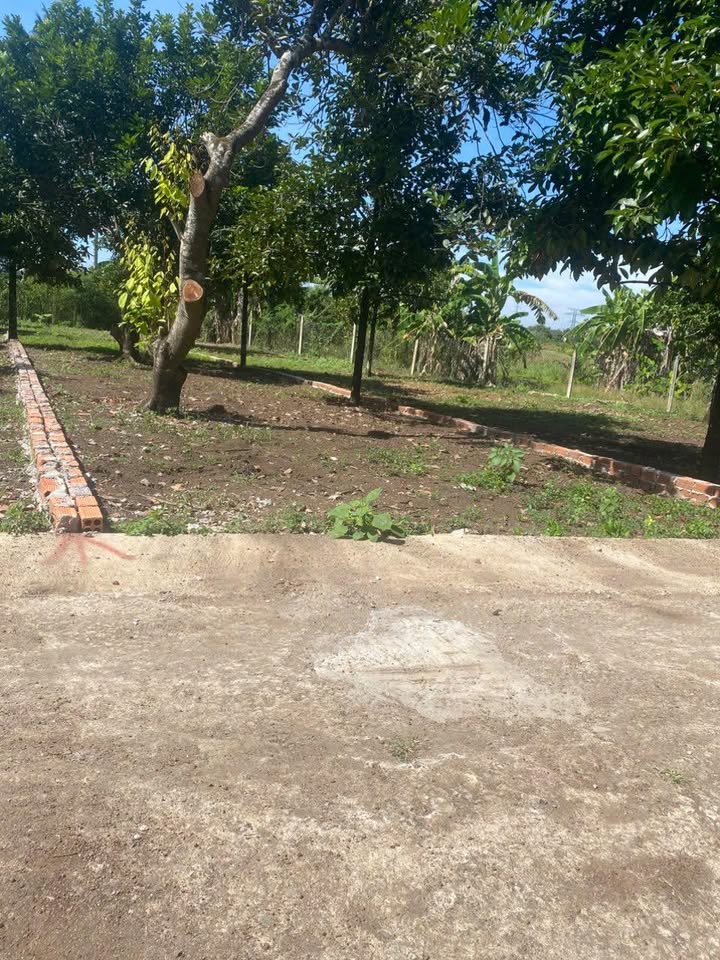 Bán đất thổ cư Bảo Vinh, Long Khánh 600 triệu - Đầu tư sinh lời tiềm năng!