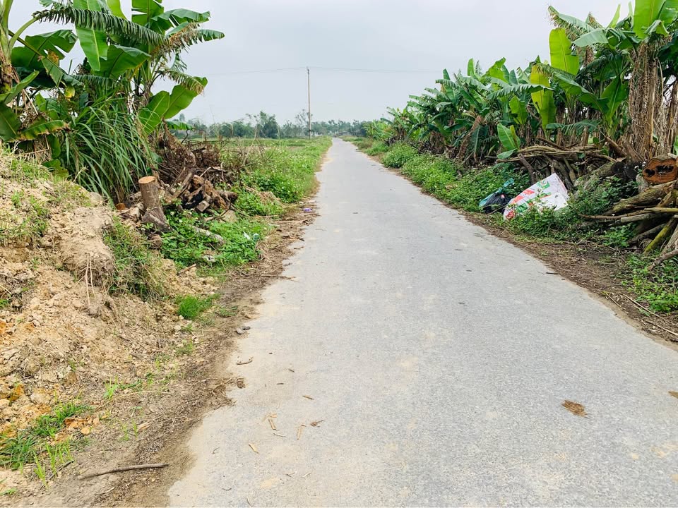 Đất nền Xóm 3, Phúc Thọ, TP Vinh 71m² giá 1.2 tỷ - Vị trí thuận tiện cho gia đình!