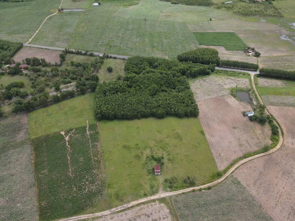 Đất nền Ninh Hòa 1.3ha giá 3.3 tỷ - Đầu tư sinh lời nhanh chóng!