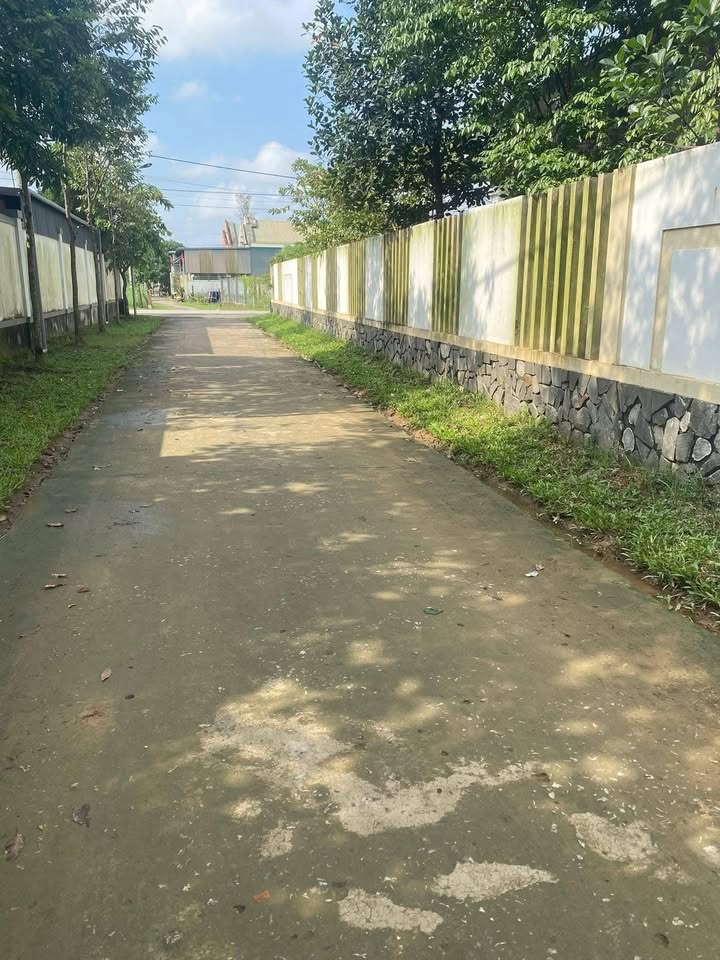 Đất nền Cam Hiếu 204m² giá 300 triệu - Cơ hội đầu tư tuyệt vời!