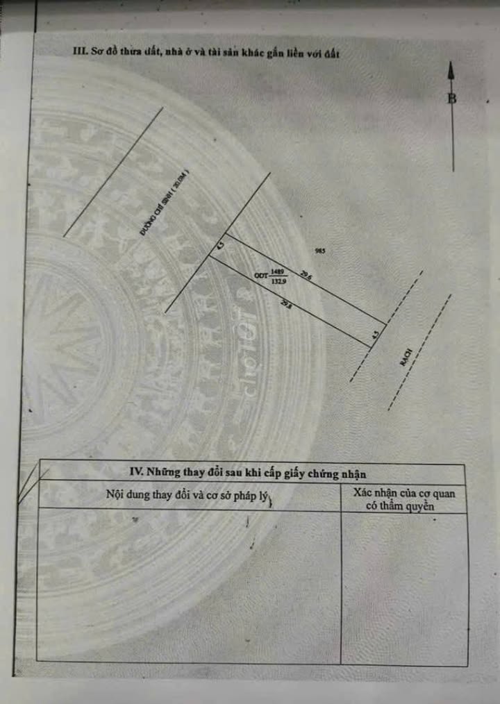 Đất nền mặt tiền đường Chí Sinh, Tân Phú, Cần Thơ 132.9m² - Vị trí đắc địa cho định cư lâu dài!