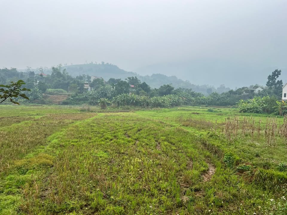 Đất nền Yên Xuân Thạch Thất 1500m² giá đầu tư - Cơ hội sinh lời hấp dẫn!