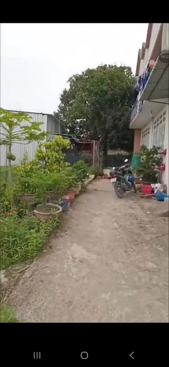 Đất thổ cư 36m² tại Mỹ Hạnh Bắc, Đức Hòa, Long An - Giá chỉ 140 triệu!