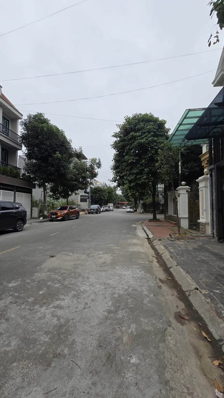 Đất nền đường Thanh Niên Bắc Ninh 117m² - Giá tốt đầu tư dài hạn!