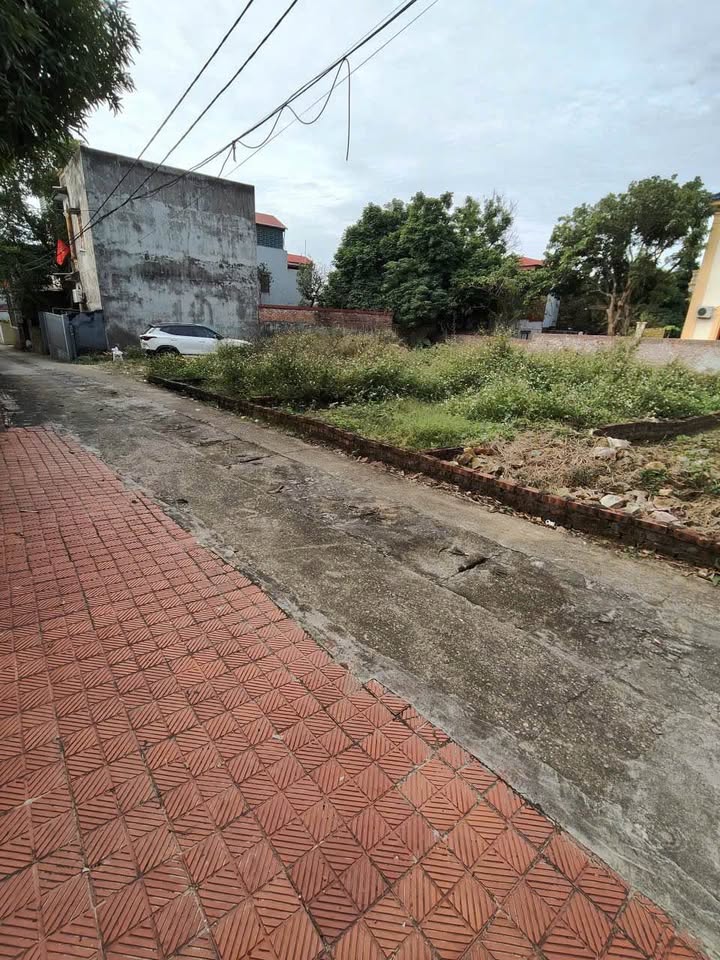 Đất nền Nam Sơn Từ Sơn 75m² giá chỉ 1.8 tỷ - Đầu tư sinh lời hấp dẫn!