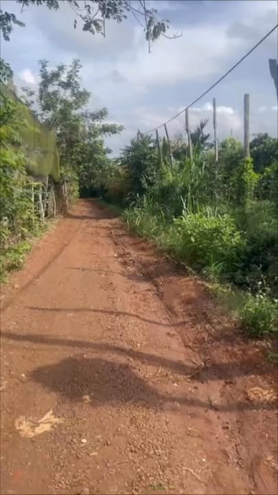 Đất nền Cư Bao, Buôn Hồ 540m² giá 250 triệu - Cơ hội đầu tư tuyệt vời!