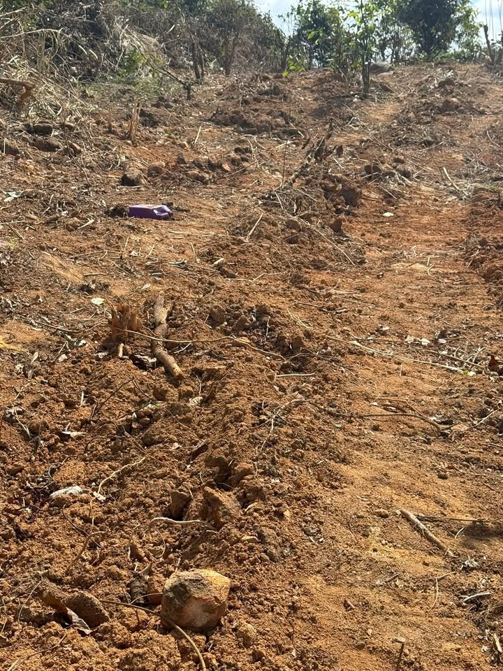 Đất nền 7,7 sào tại Ea Nam, Đắk Lắk chỉ 770 triệu - Cơ hội đầu tư lý tưởng!