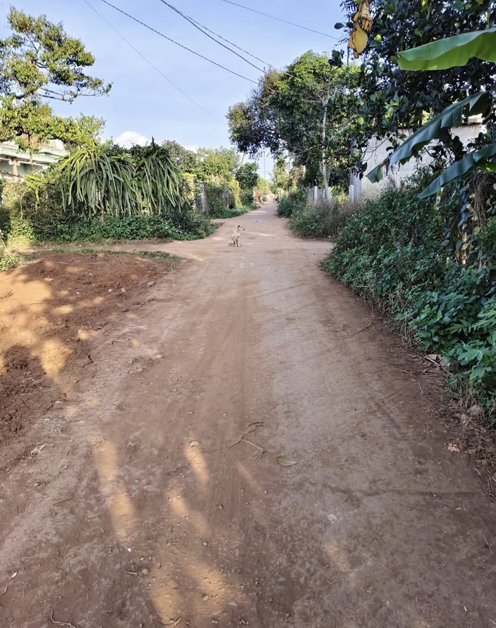 Đất ở Cư M'gar, Đắk Lắk 234m² giá 389 triệu - Đầu tư sinh lời ngay!