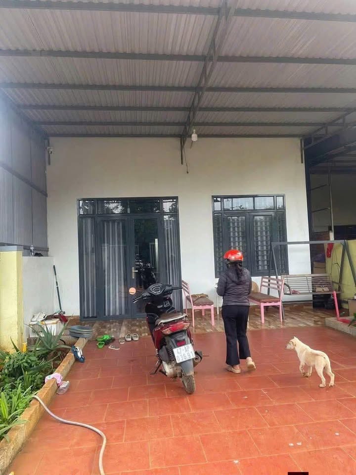 Nhà riêng Buôn Hồ 350m² giá 1.9 tỷ - Chính chủ bán gấp!