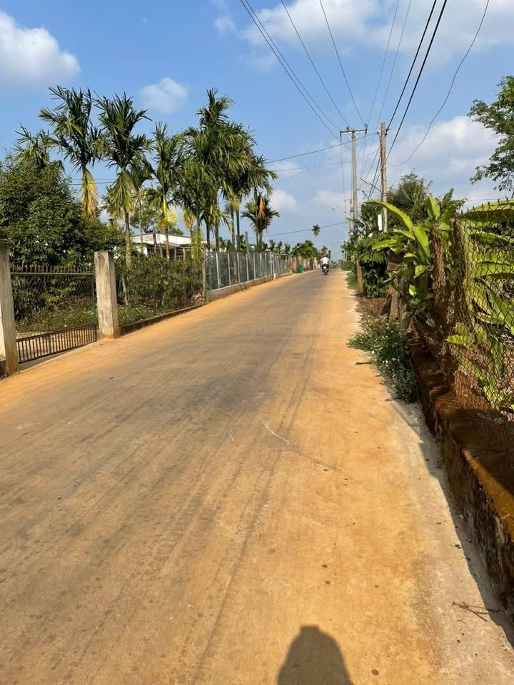 Đất thổ cư 175m² tại Buôn Ma Thuột giá chỉ 100 triệu - Cơ hội đầu tư hấp dẫn!