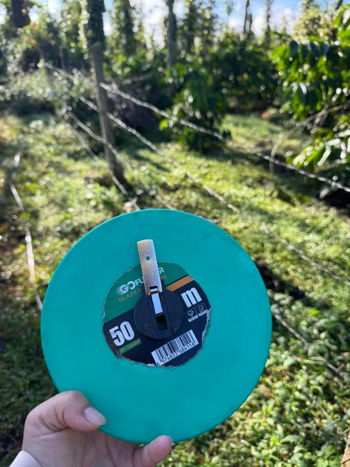 Đất nền mặt tiền Đức Mạnh 324m² giá chỉ 750 triệu - Cơ hội đầu tư sinh lời!