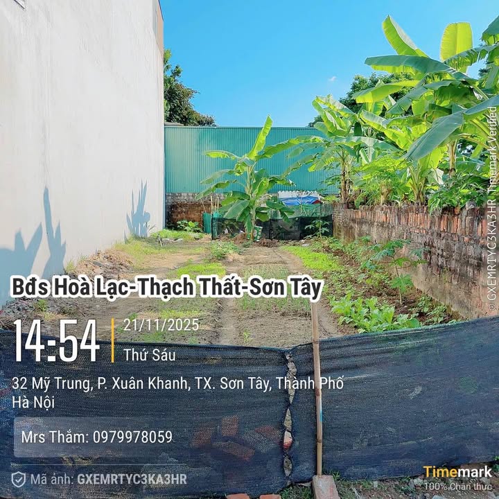 Đất nền phường Xuân Khanh - Sơn Tây 118m² giá 2.36 tỷ - Kinh doanh sầm uất!