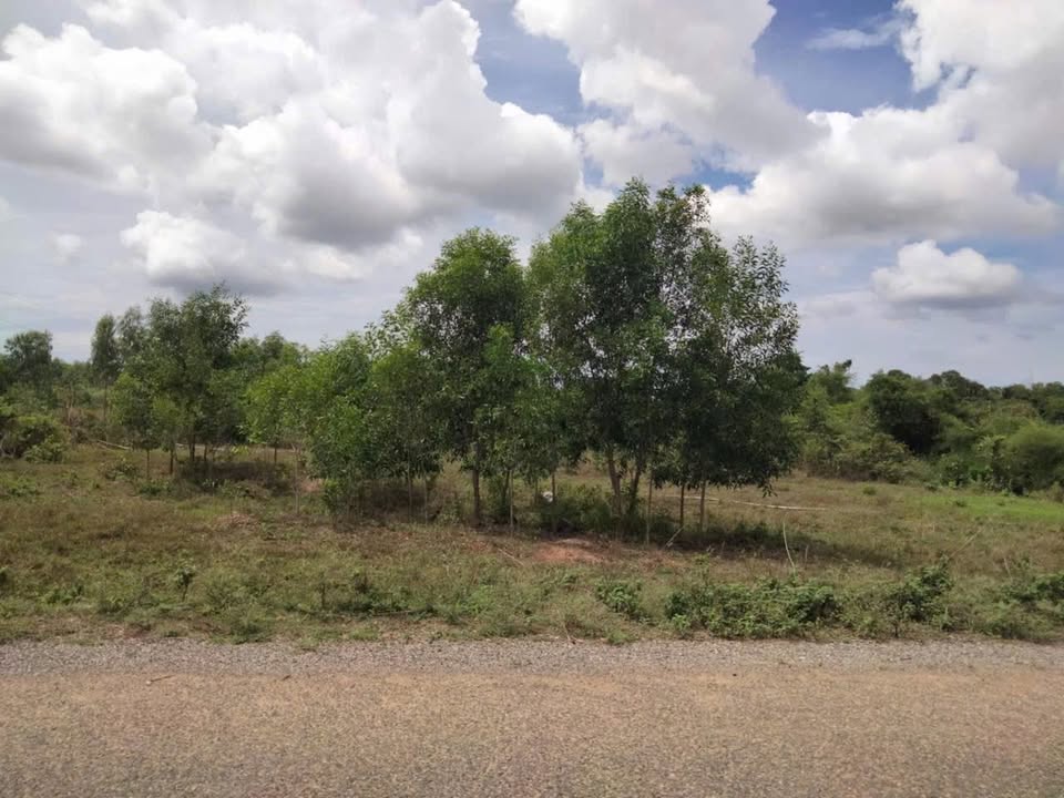 Đất mặt tiền Nhựa Hàm Liêm 1,6ha giá chỉ 3.2 tỷ - Cơ hội đầu tư tuyệt vời!