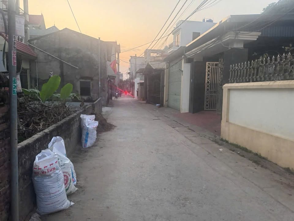 Đất nền Thư Phú Thường Tín 80m² giá 5 tỷ - Đầu tư sinh lời ngay!