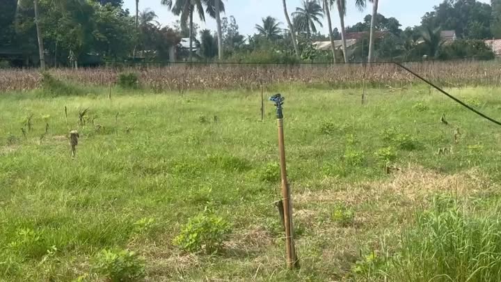 Đất vườn Cát Hiệp, Phù Cát 1400m² giá 1 tỷ - Cơ hội đầu tư tuyệt vời!