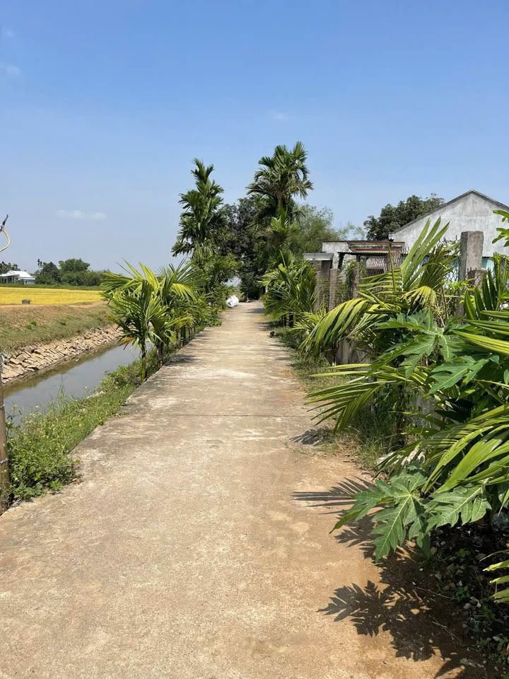 Đất nền Phước Hiệp, Tuy Phước 75m² giá 300 triệu - Đầu tư sinh lời ngay!