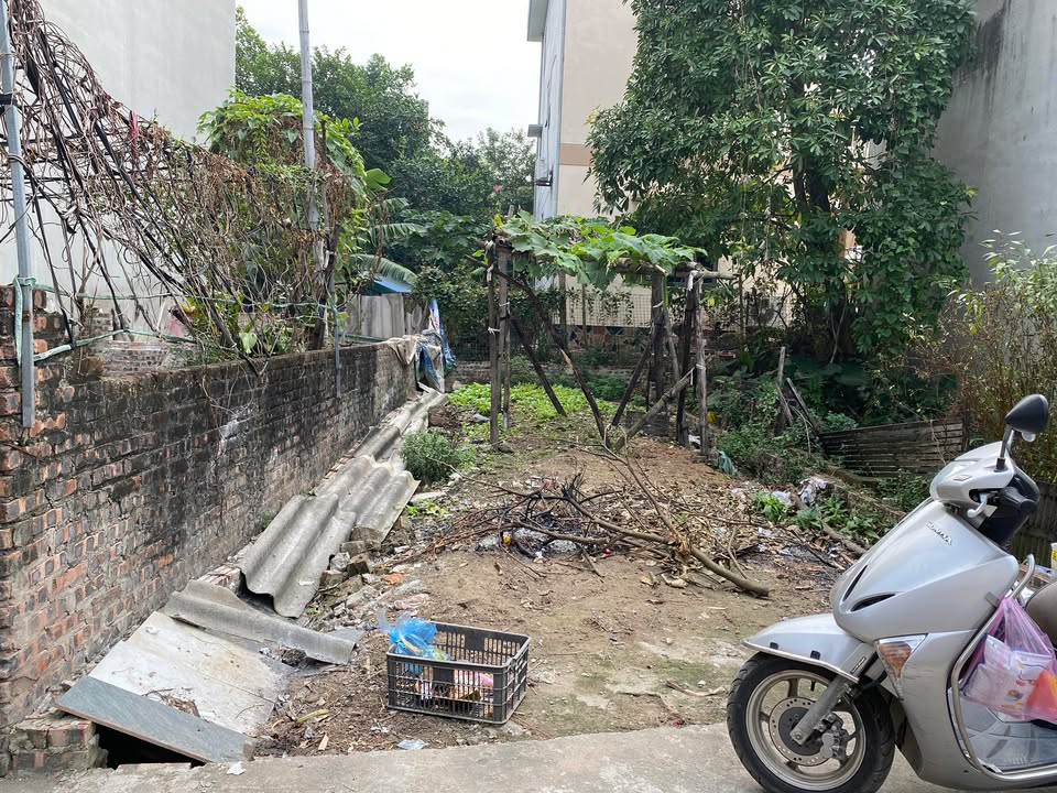 Đất nền đường làng Nguyệt Áng, Đại Áng 56m² - Sổ đỏ chính chủ, vị trí đắc địa!