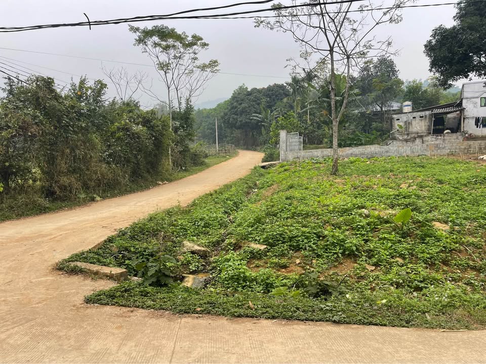 Đất lô góc 460m² tại Cao Sơn, Lương Sơn - Giá chỉ 2 tỷ, pháp lý rõ ràng!