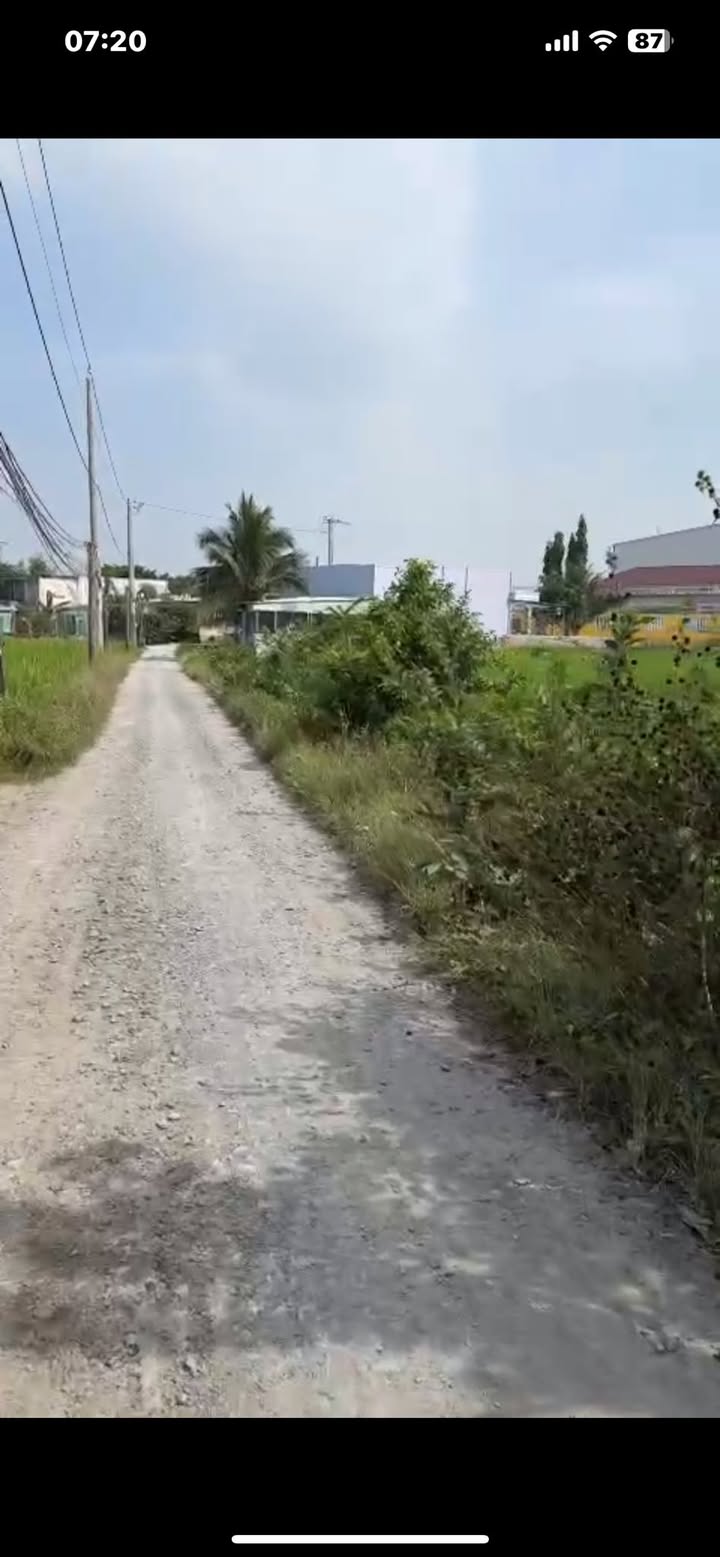 Đất nền mặt tiền đường Ba Thoại, Tân Lân, Cần Đước 185m² giá 730 triệu - Chính chủ bán gấp!