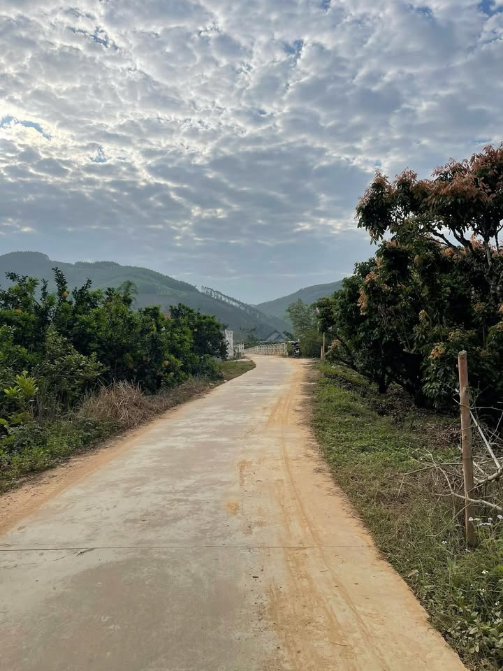 Đất vườn Vô Tranh Lục Nam 987m² giá 900 triệu - Đầu tư sinh lời tuyệt vời!