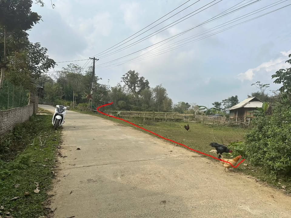 Đất thổ cư Phú Cường Tân Lạc 1800m² giá 1 tỷ - Sổ hồng chính chủ, mặt tiền bám đường