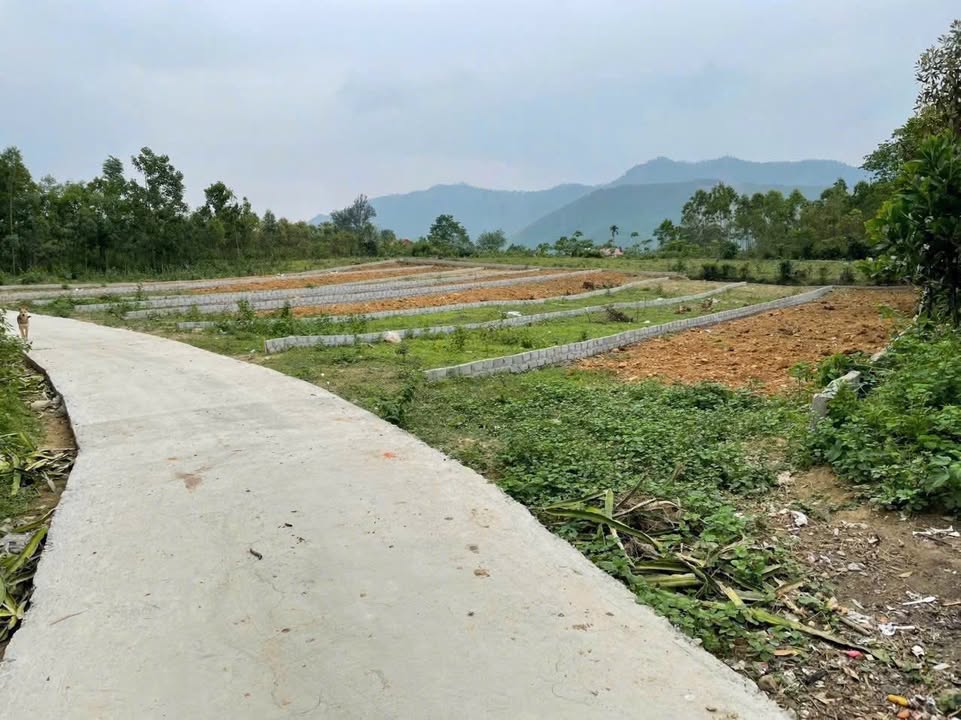 Đất nền 200m² tại Võ Miếu, Thanh Sơn giá chỉ 200 triệu - Cơ hội đầu tư hấp dẫn!