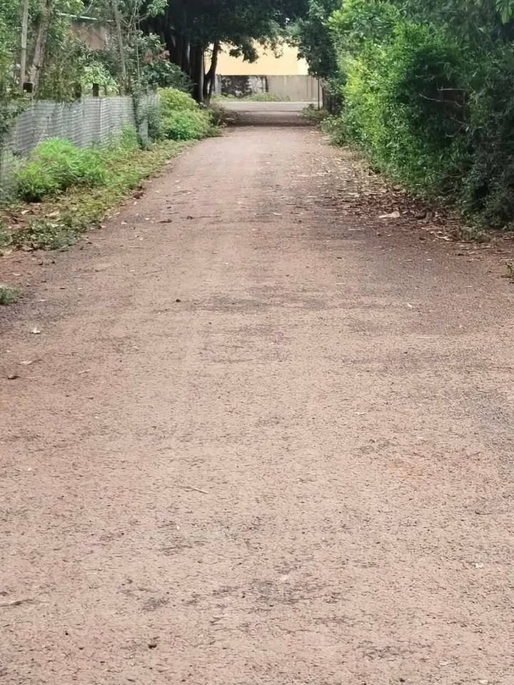 Đất nền thổ cư 230m² tại thị trấn Ia Kha, Ia Grai - Giá chỉ 470 triệu!