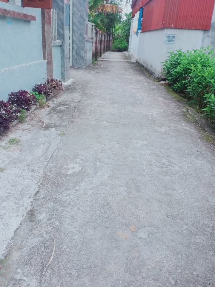 Nhà cấp 4 thôn Giông, Hiệp Hòa, Vĩnh Bảo 104m² giá 700 triệu - Sẵn sàng vào ở ngay!