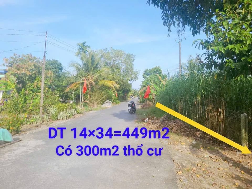 Đất nền 449m² Trường Long giá 1.6 tỷ - Đầu tư sinh lời tuyệt vời!