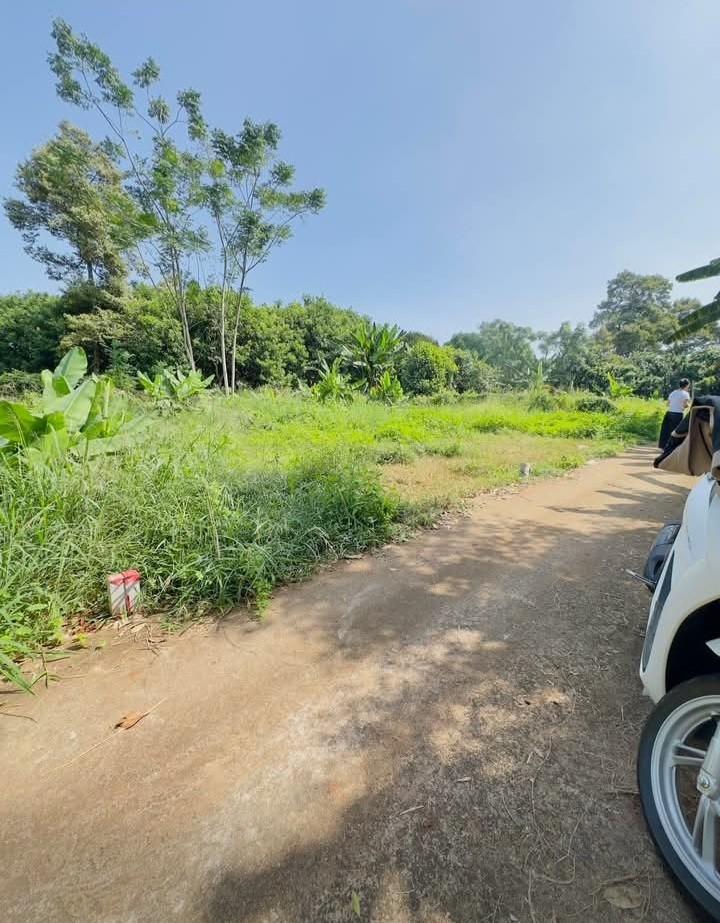 Đất nền trung tâm Long Khánh 105m² giá 750 triệu - Đầu tư sinh lợi ngay!