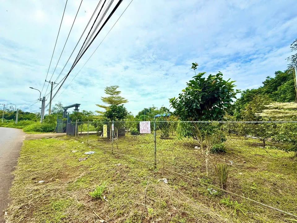 Đất nền Long Khánh 350m² giá 890 triệu - Đầu tư sinh lời tuyệt vời!