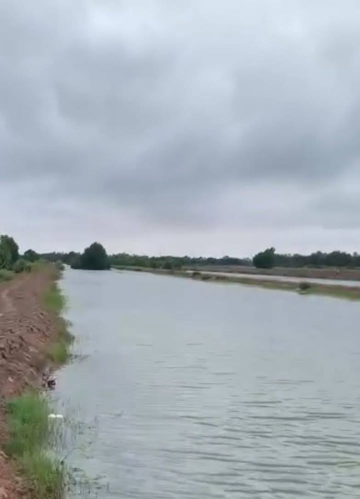 Đất nền Trường Long Hòa, Duyên Hải 23000m² - Giá chỉ 3.45 tỷ, đầu tư sinh lời!