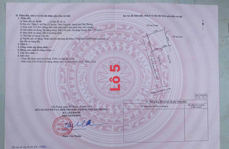 Đất Phả Lễ - Thủy Nguyên 60m² giá 800 triệu - Mặt tiền rộng, ô tô vào tận nơi!