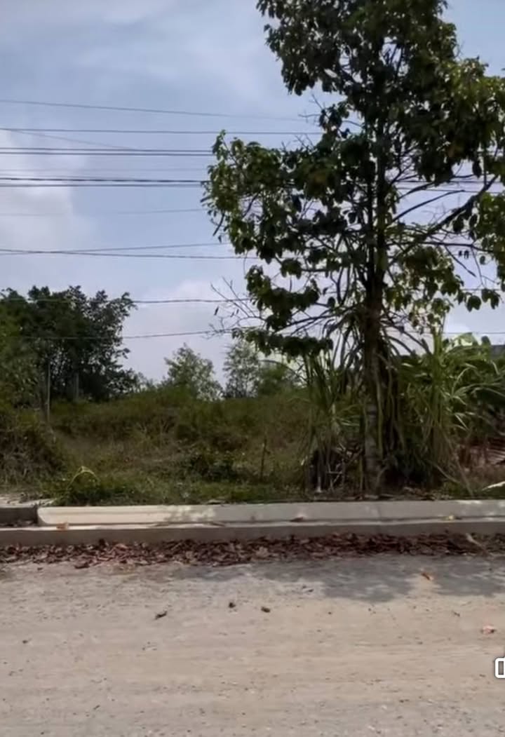 Đất nền Nhơn Hoà, Tân Thạnh, Long An 100m² giá chỉ 350 triệu - Cơ hội đầu tư tuyệt vời!