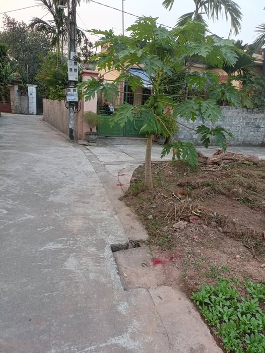 Đất nền Trác Văn, Duy Tiên 105m² giá 1.3 tỷ - Đầu tư sinh lời ngay!