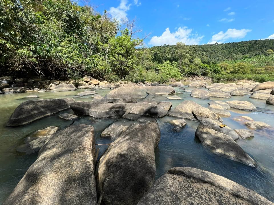 Đất thổ cư Lộc Nam 62353m² giá 1.839 tỷ - Cơ hội đầu tư sinh lời