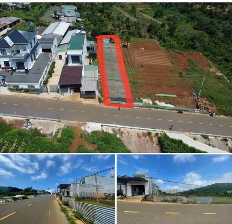 Đất thổ cư mặt tiền Nguyễn Tri Phương 600m² giá 4.2 tỷ - Đầu tư sinh lời lý tưởng!