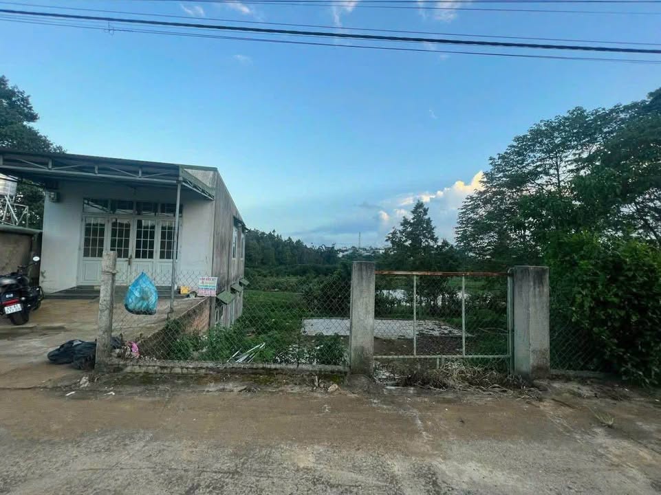 Nhà cho thuê hẻm 96 Lý Thái Tổ, Đambri 1200m² - Giá chỉ 3 triệu/tháng!