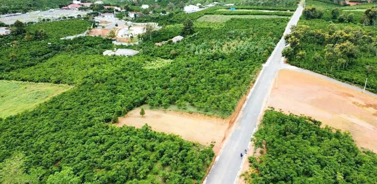 Đất nền mặt tiền Nguyễn Khắc Nhu, B'Lao 400m² chỉ 2.3 tỷ - Đầu tư sinh lời hấp dẫn!