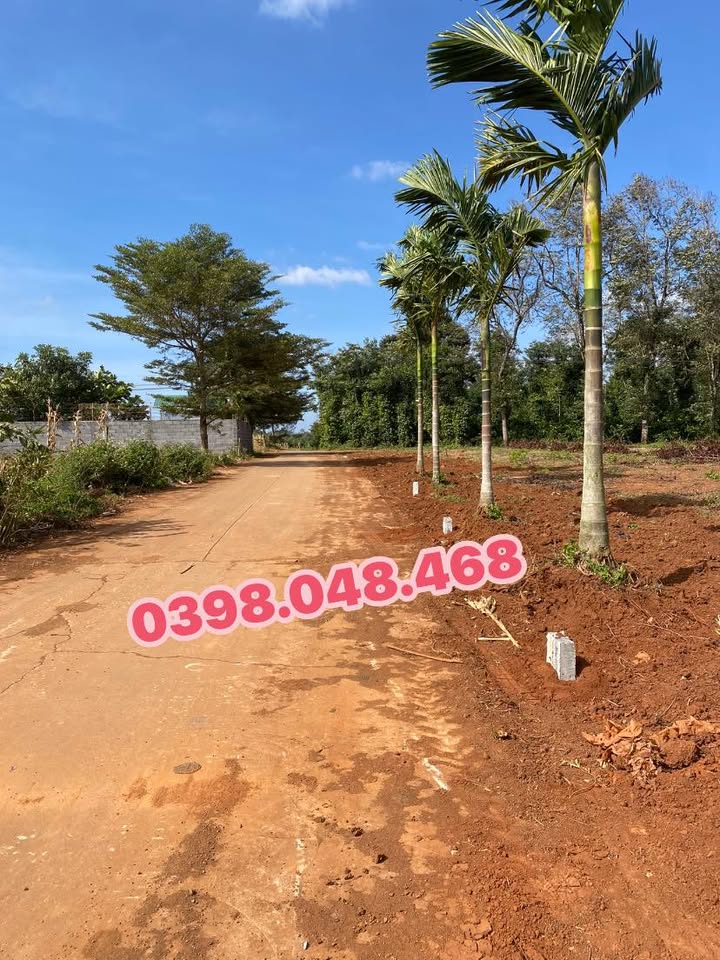 Đất thổ cư Ea Ktur, Cư Kuin 150m² giá 300 triệu - Đầu tư sinh lời ngay!