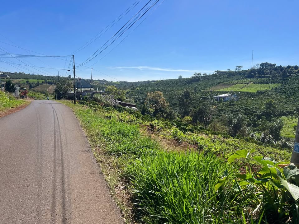 Đất Bảo Lộc 836m² mặt tiền Tôn Thất Thuyết - Giá 3.6 tỷ, vị trí tiềm năng đầu tư!