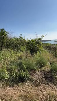 Đất nền Đăk Mar, Đăk Hà 37.000m² giá chỉ 5xx triệu - Đường ô tô tới tận nơi!