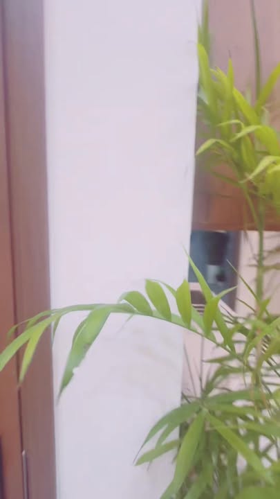 Nhà bán 2 mặt hẻm 321 Phạm Văn Chí, Quận 6, Diện tích 53m² - Đầu tư sinh lời hấp dẫn!