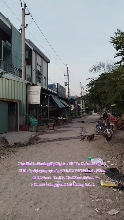 Đất nền khu phố 1, phường Hội Nghĩa, TP Tân Uyên 1172m² - Tiềm năng đầu tư lớn!