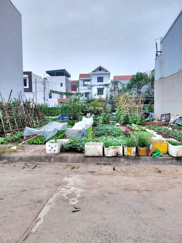 Đất nền Lại Yên Hoài Đức 55m² giá 7.53 tỷ - Gần hồ, kết nối hạ tầng thuận lợi!