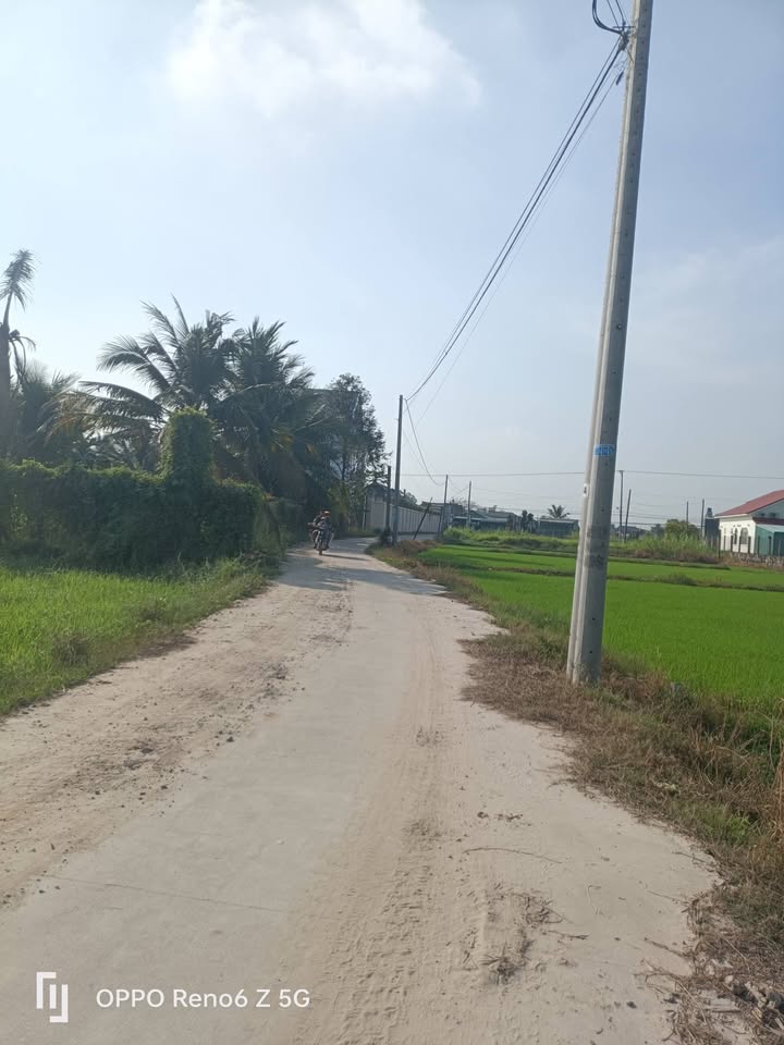 Đất nền Hóc Môn 115m² giá 950 triệu - Đầu tư sinh lời ngay!