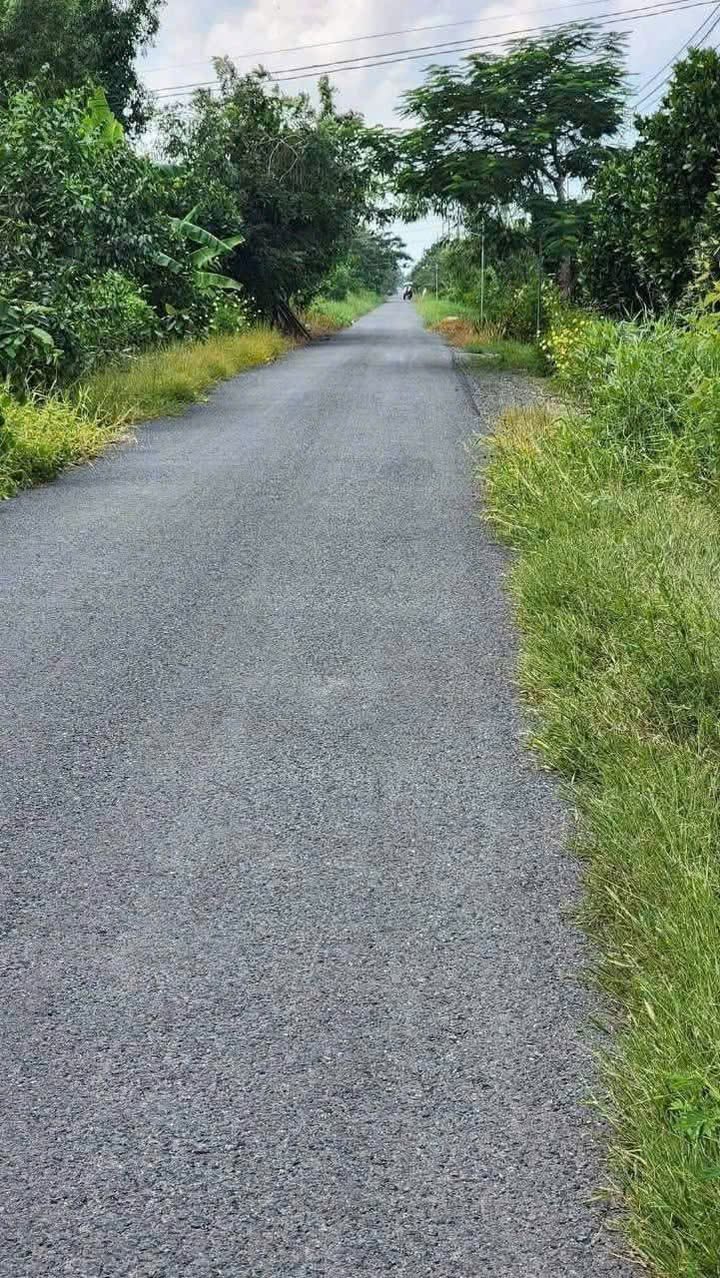 Đất thổ cư mặt tiền 15x150m tại xã Tân Bình, Tân Thạnh - Giá 950 triệu, thương lượng tốt!