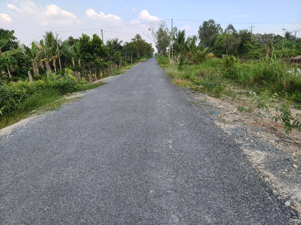 Đất cây lâu năm 2.5 mẫu xã Tân Lập 2 - Mặt tiền 62m, giá 9.5 tỷ VND