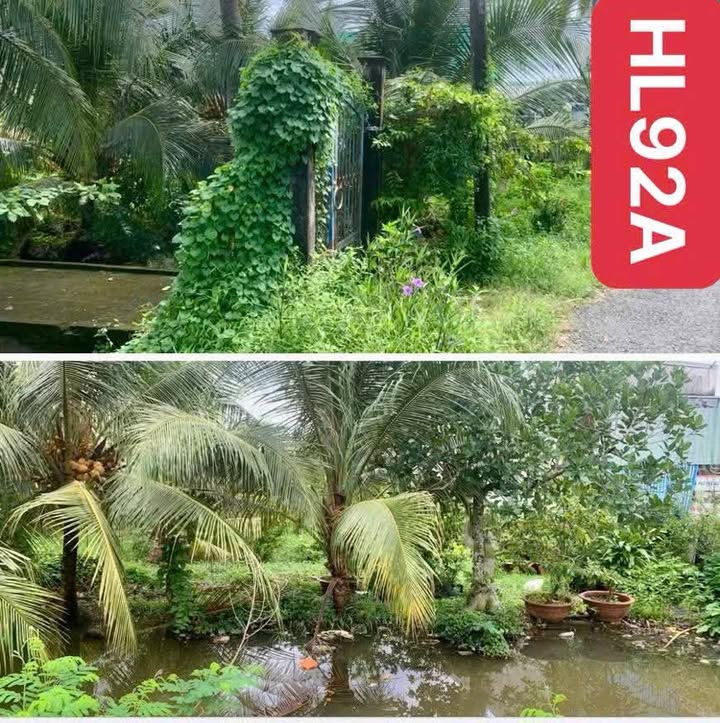 Đất nền Đạo Thạnh, Mỹ Tho 639m² giá 5.9 tỷ - Mặt tiền view kênh thoáng mát!